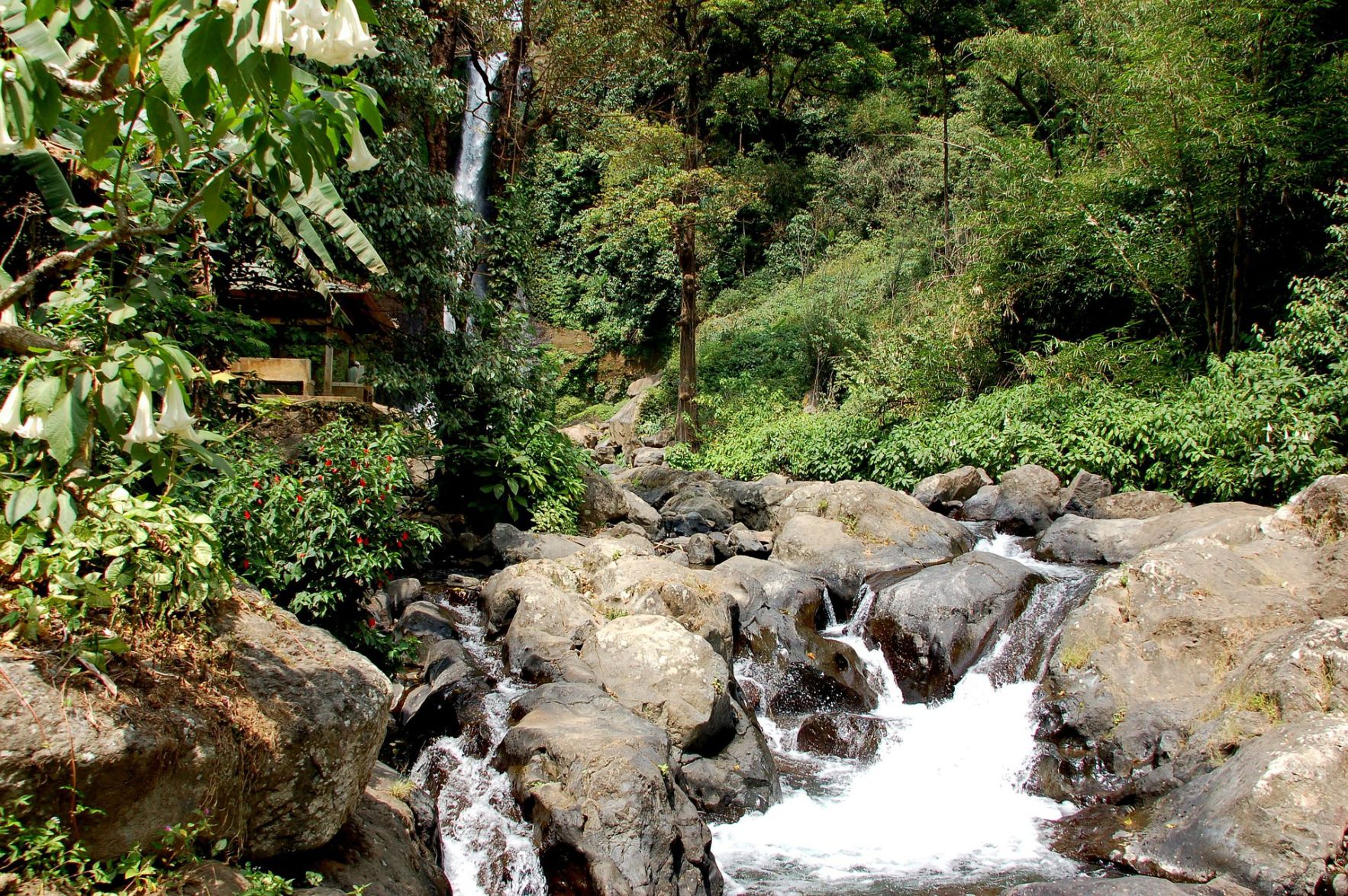 Bali waterfalls